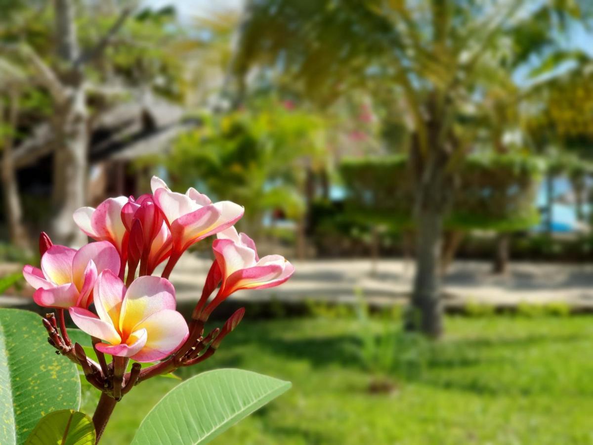 The Zanzibari Hotell Nungwi Eksteriør bilde