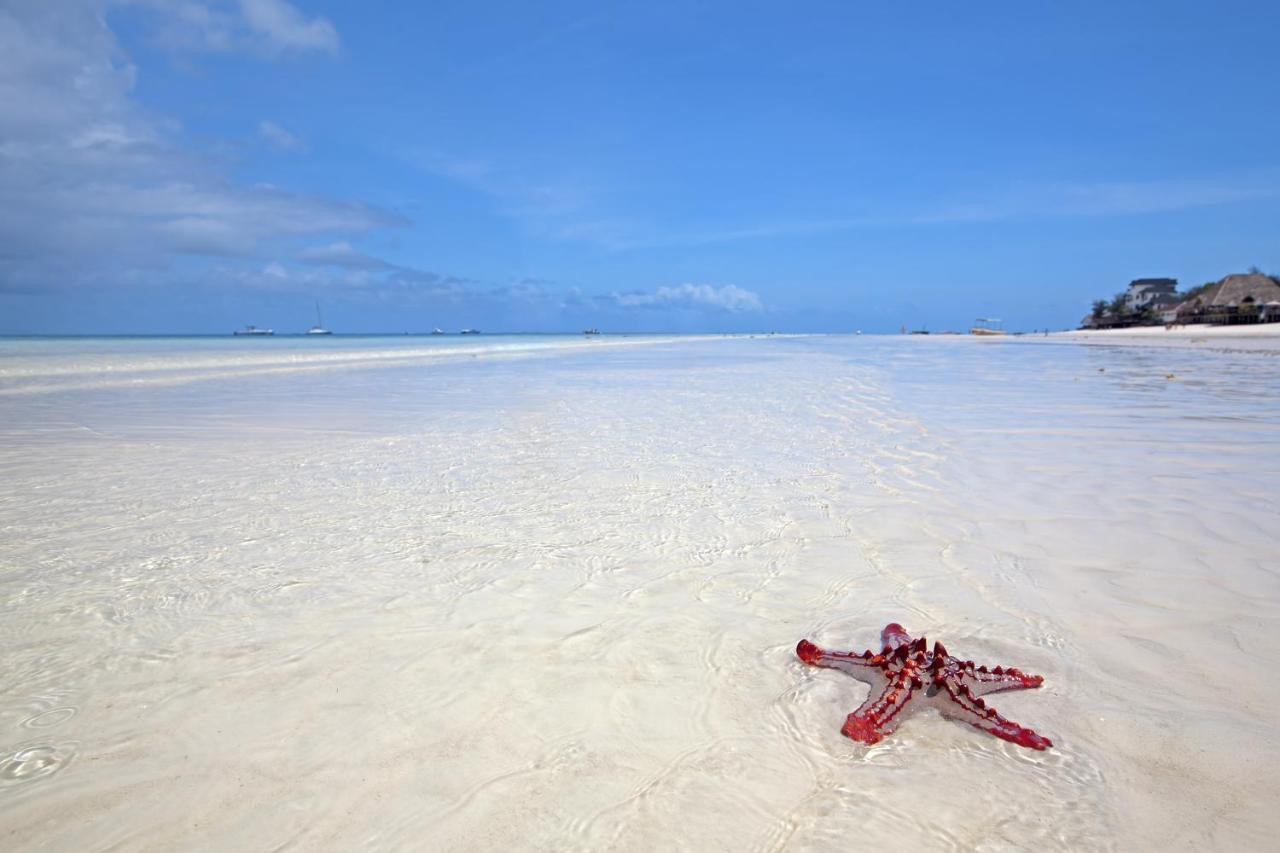 The Zanzibari Hotell Nungwi Eksteriør bilde